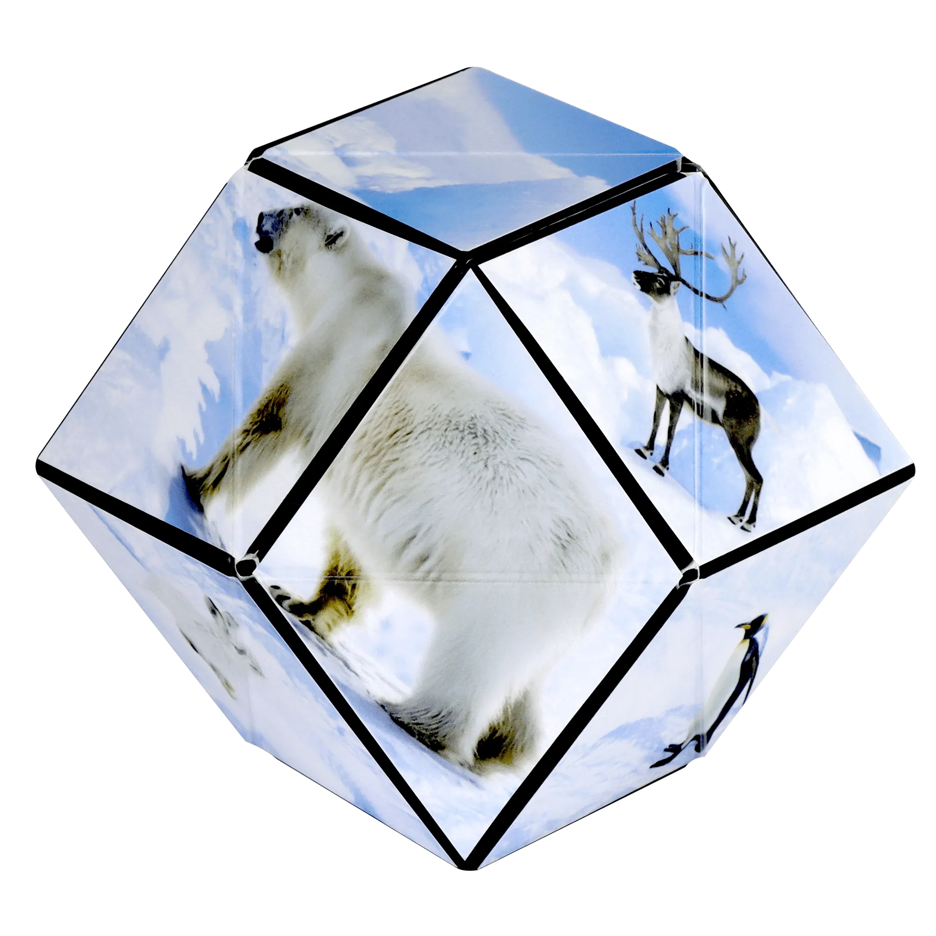 Shashibo - Arctic